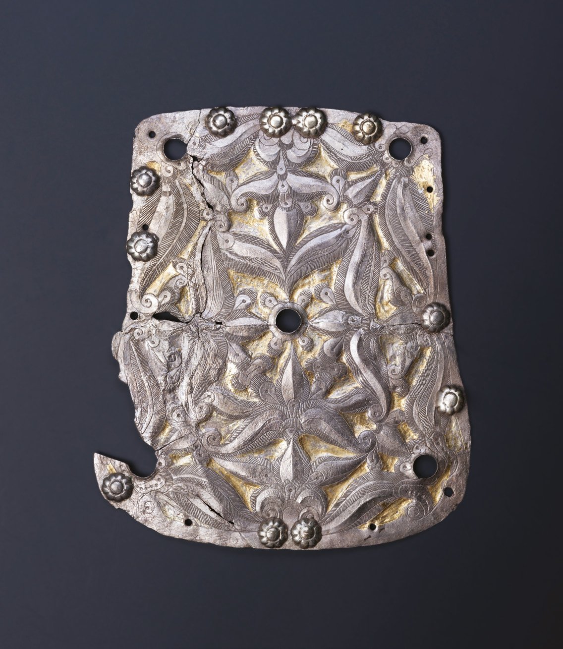 Túrkeve-Ecsegpuszta, Bokros-halom tarsolylemez